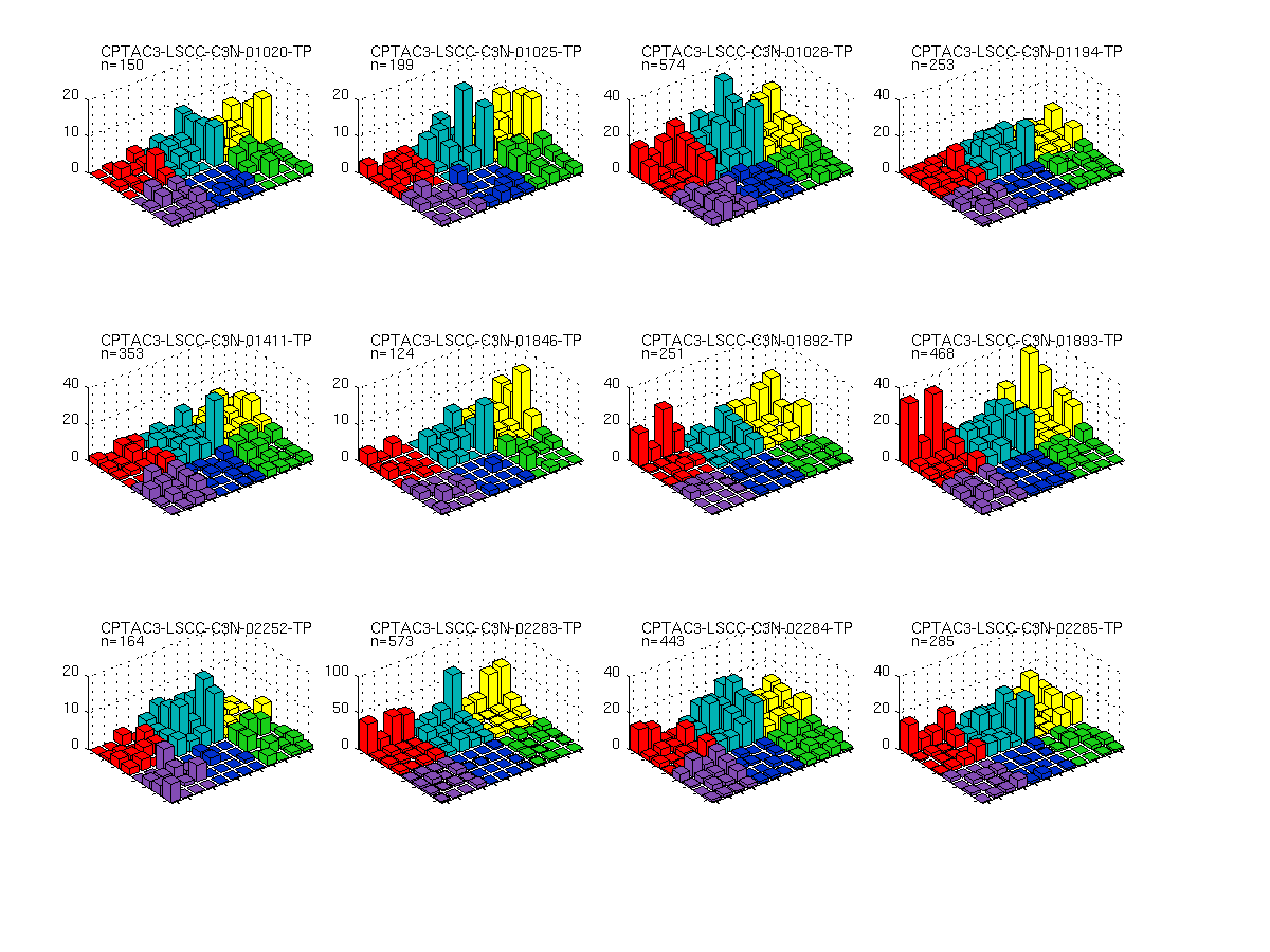 CPTAC3-LSCC-v3beta.final_analysis_set.maf